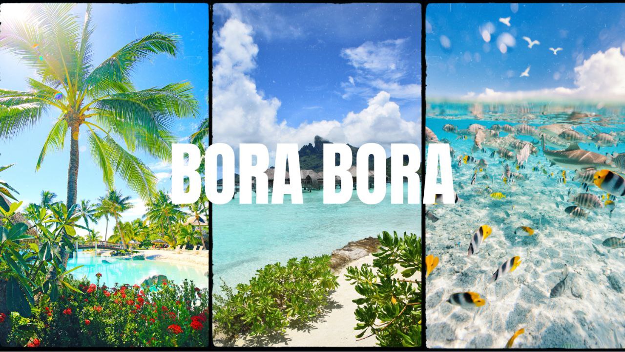 borabora poster